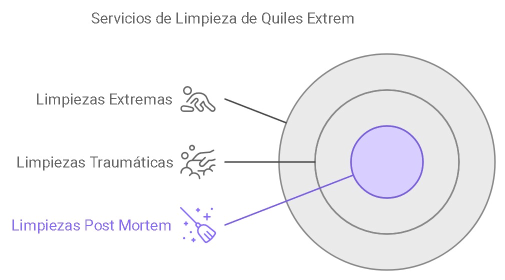 Expertos en limpiezas extremas en Barcelona